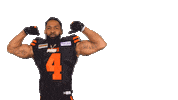 British Columbia Football Sticker by BC Lions