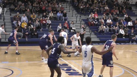 Upper Iowa GIF by UIUPeacocks