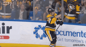 Ice Hockey Sport GIF by NHL