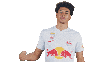 Football Sport Sticker by FC Red Bull Salzburg