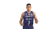 Vamos Liga Endesa Sticker by ACB