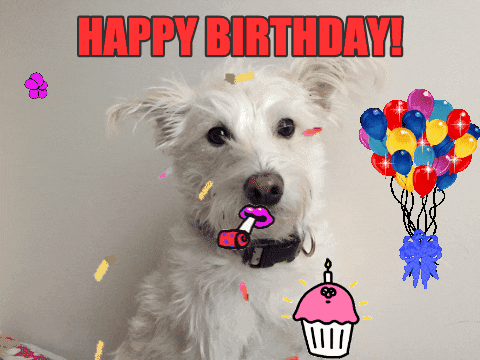 Digital compilation gif. Westie dog with floppy ears sits and looks at us with a cute expression. The gif has been edited to look like the dog is next to a bunch of digitized floating balloons and a cupcake, blowing a party horn. A picture of a cat with floppy paws on display pops in and out of frame from the bottom corner, adding to the excitement of the scene. Text, "Happy Birthday!