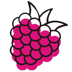 boyberry giphyupload fruit berry raspberry Sticker