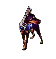 Rocco Sticker by DreamTeamMovers