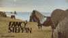 fancy GIF