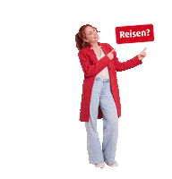 Fun Travel Sticker by Niedersachsen-Ticket
