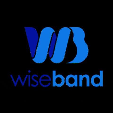 Wiseband giphygifmaker wiseband music distribution wiseband GIF