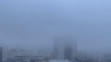 Fog Hovers in Bay Area Skies