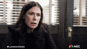 Episode 1 Brady GIF by Law & Order