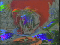video art vhs GIF by sinuendo