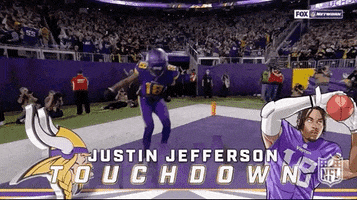 Minnesota Vikings Football GIF by NFL