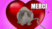 Thanks Love GIF by CANAL+
