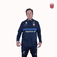 Czech Republic Women GIF by Norges Fotballforbund