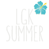 Happy Summer Sticker by Lgkesch