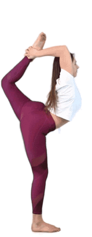 Yoga Dancer Sticker by sisers-stretching