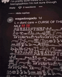 Twitter X GIF