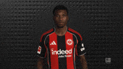 Eintracht Frankfurt GIF by Bundesliga