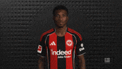 Eintracht Frankfurt GIF by Bundesliga