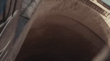 New York Friends GIF by Evann McIntosh