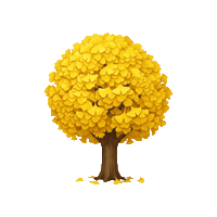 Ginkgo Sticker by University of Virginia