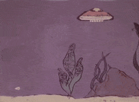 mom + pop music bayonne GIF by Lady Lamb