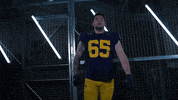 Go Blue Michigan Football GIF by Michigan Athletics