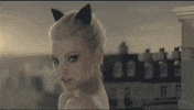 cat wink GIF