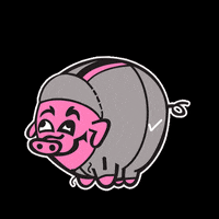 Island Iceland GIF by HotChicken