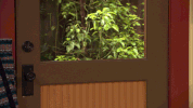 nrdd GIF