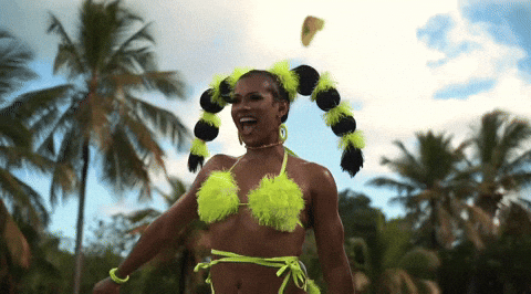 kathamaathai bus dragqueen gringo baiana GIF