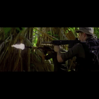 faea GIF by Klarity