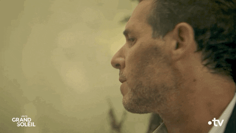 Gun Danger GIF by Un si grand soleil