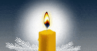 Santa Claus Christmas GIF by Rhenus Logistics