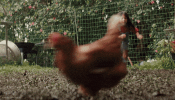 Lilo And Stitch Dog GIF by Walt Disney Studios