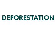 GoForest nature plant forest sustainability Sticker