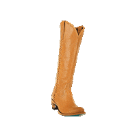 laneboots boots cowgirl boots western fashion plain jane Sticker