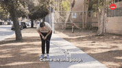 Dogs GIF by BuzzFeed