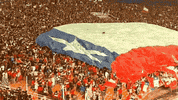 festival no GIF