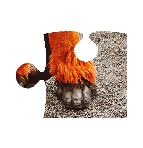 Jamadu Sticker by Coop Hello Family