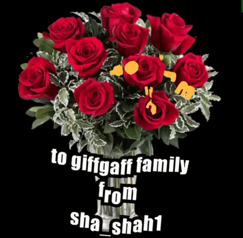 sha_shah  GIF