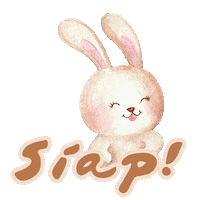 Bunny Rabbit Sticker