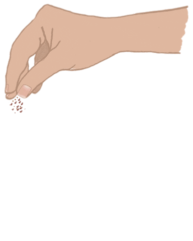 Spices Sticker by Abbalé TLV Kitchen