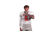 Cnfb Sticker by Carson-Newman Athletics