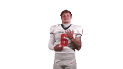 Cnfb Sticker by Carson-Newman Athletics