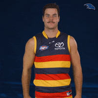 2022 GIF by Adelaide Crows