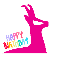 Pink Congrats Sticker by Autohaus Scheichl