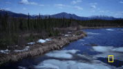 life below zero GIF by National Geographic Channel
