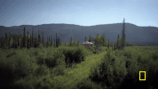 GIF by National Geographic Channel