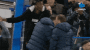 Celebration Goal GIF by MolaTV