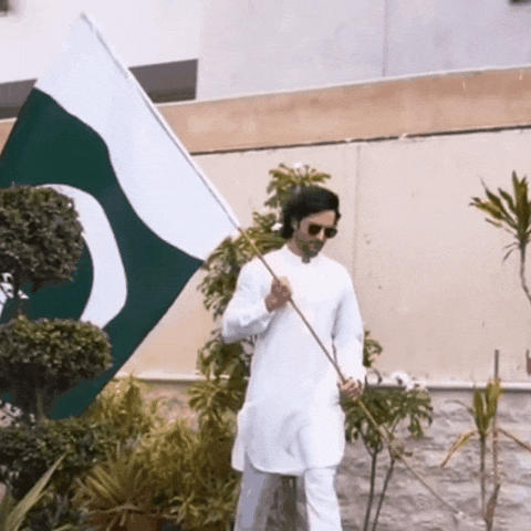 Pakistan Cricket Team Pakistan GIF